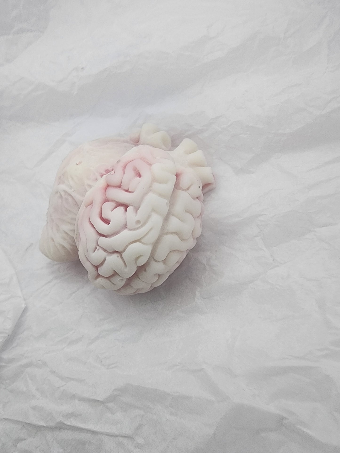 Bloody Brain & Bloody Beat (soy sensations / body bar)