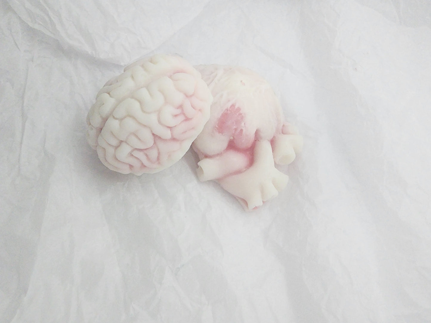 Bloody Brain & Bloody Beat (soy sensations / body bar)