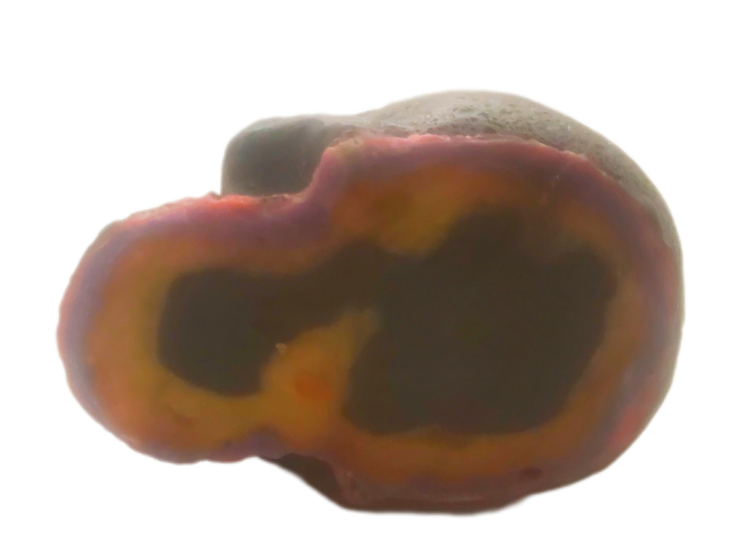 Female Skull (tie dye bleed)(paraffin)