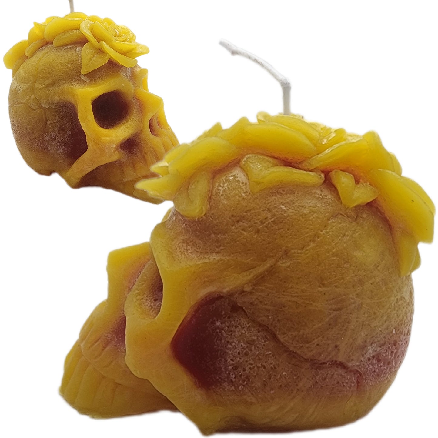 Her Skull (paraffin)