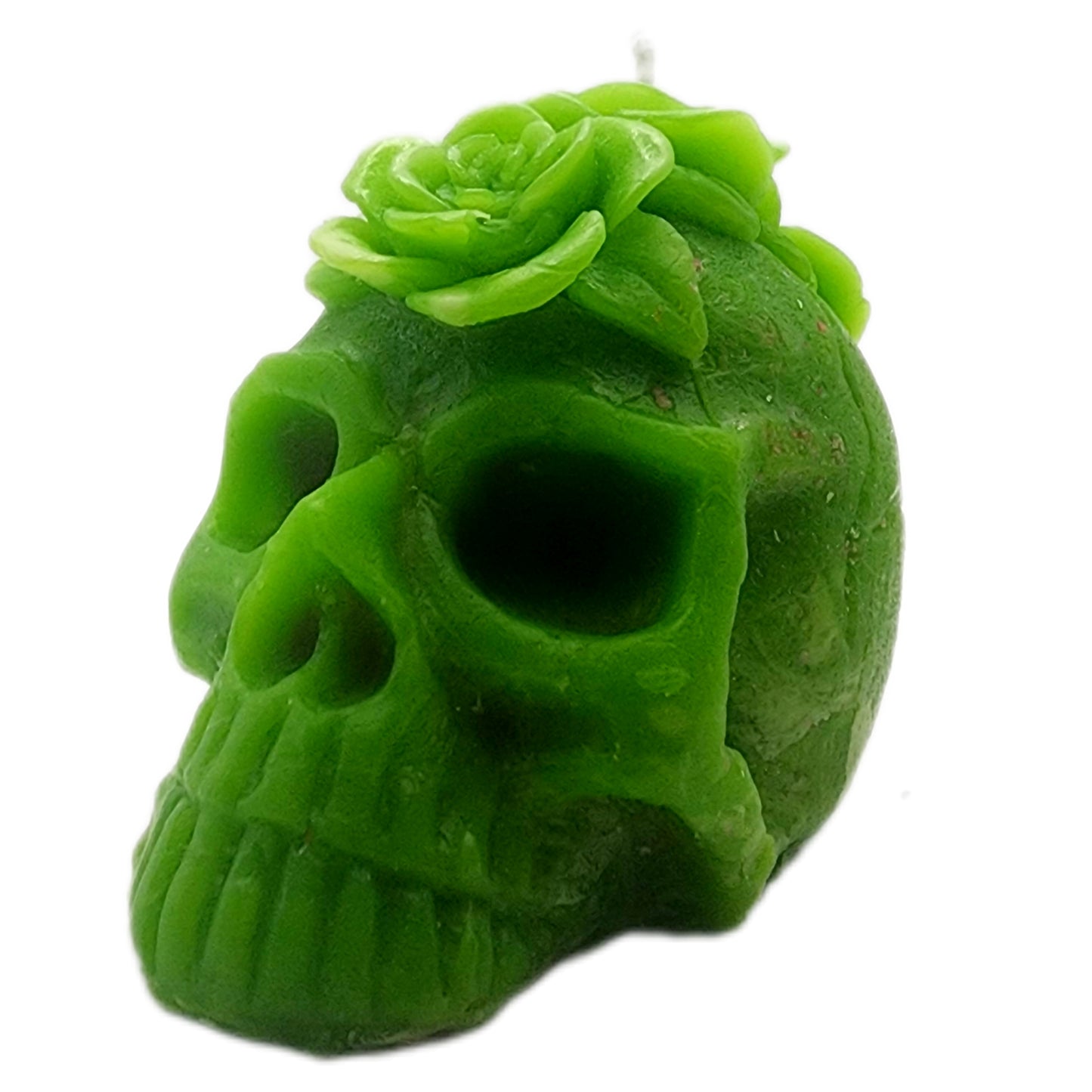 Her skull (paraffin)