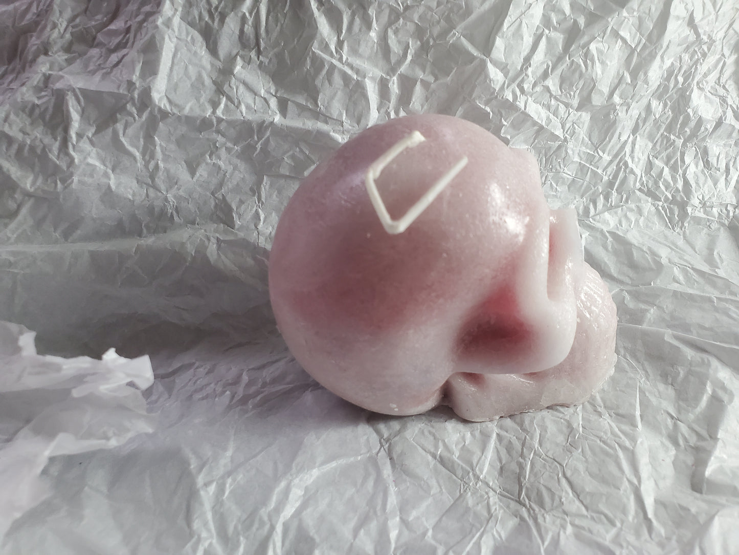 Male Skull (French Vanilla)