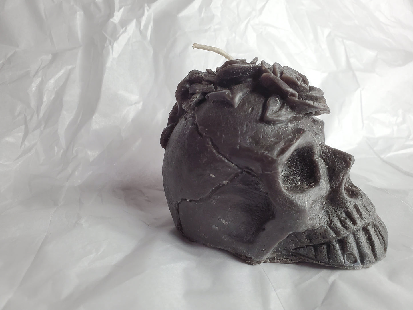 Her Skull (Choas)