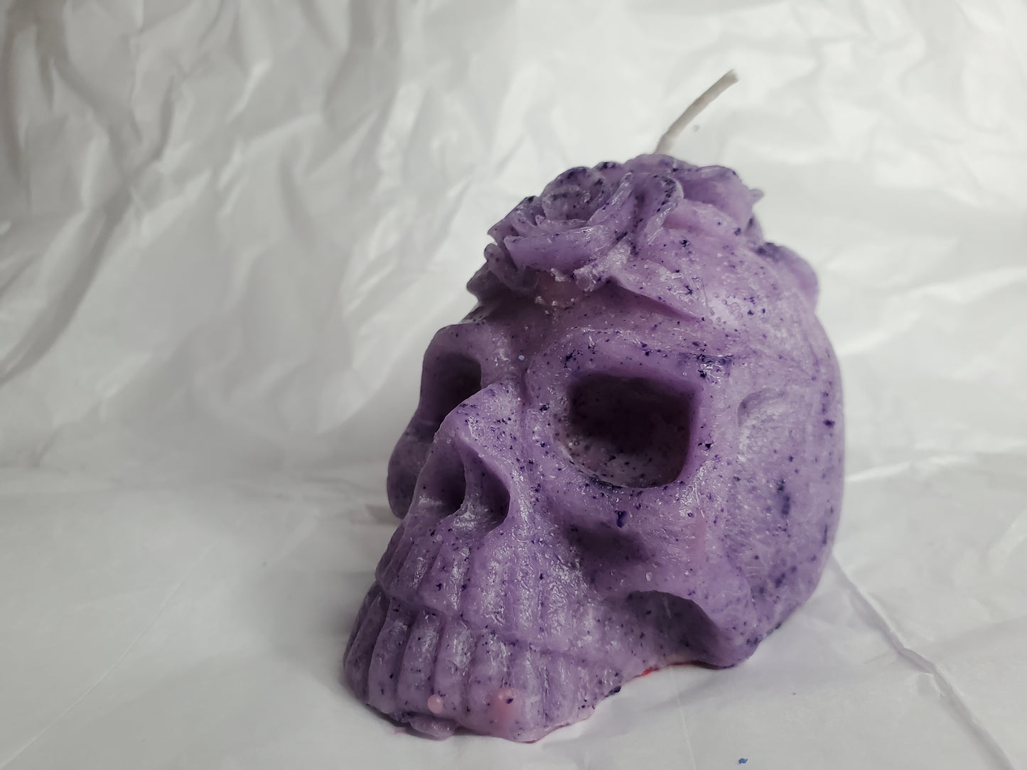 Her Skull (Bunch of Berries)