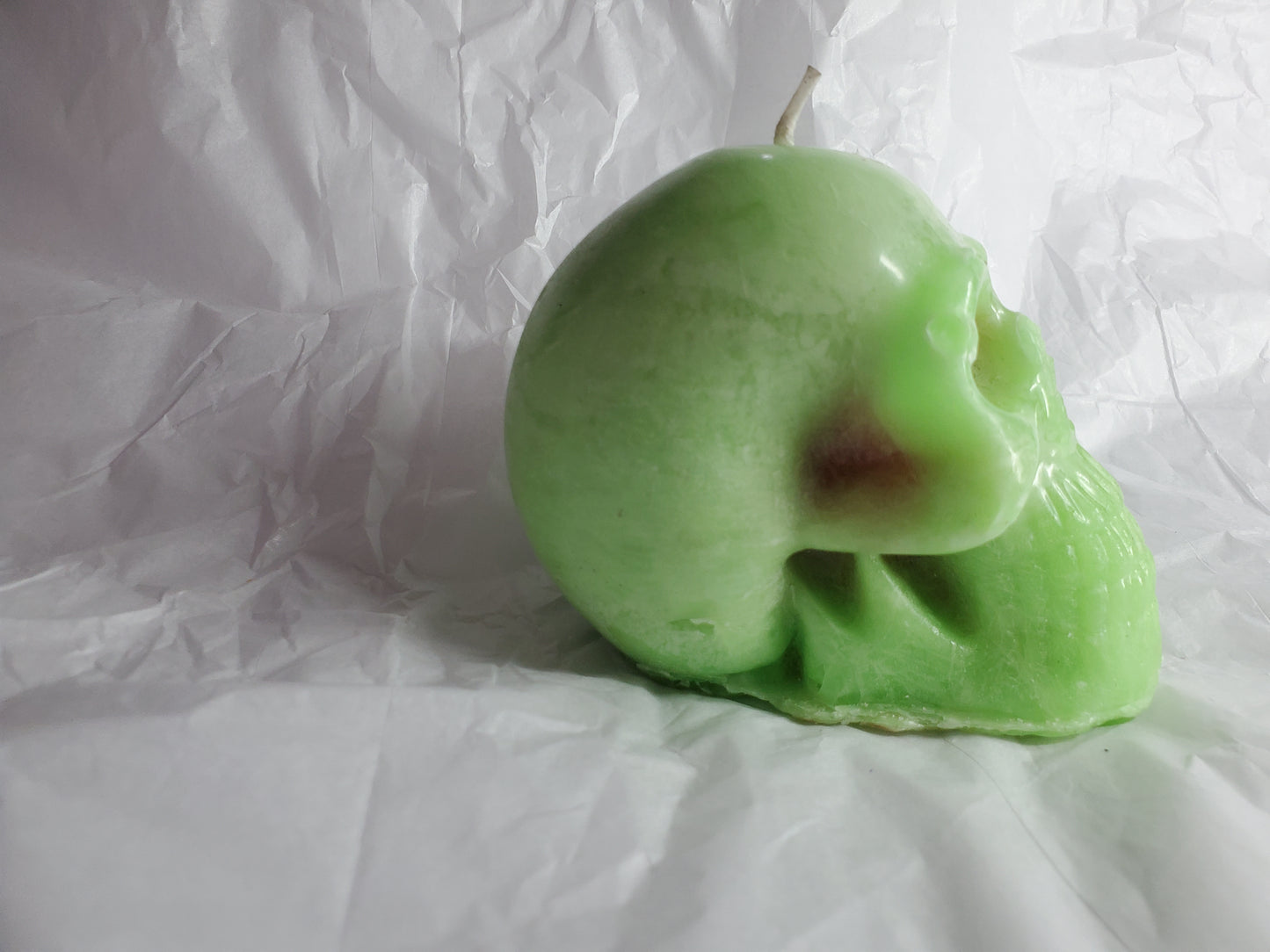 Male Skull (Melon Ball)