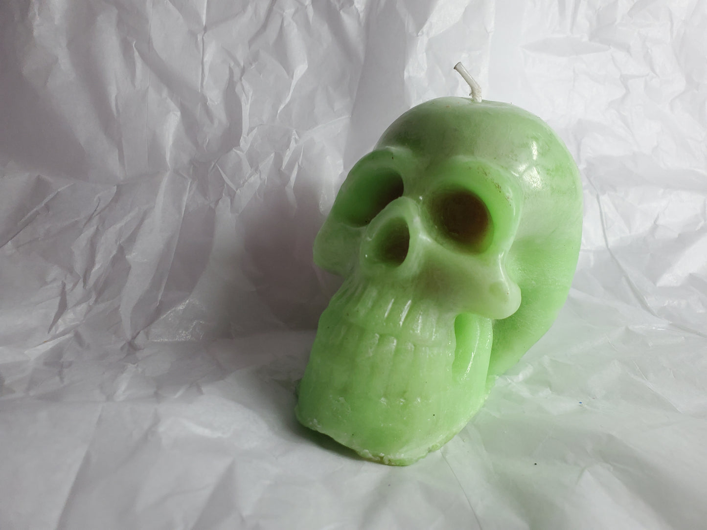 Male Skull (Melon Ball)