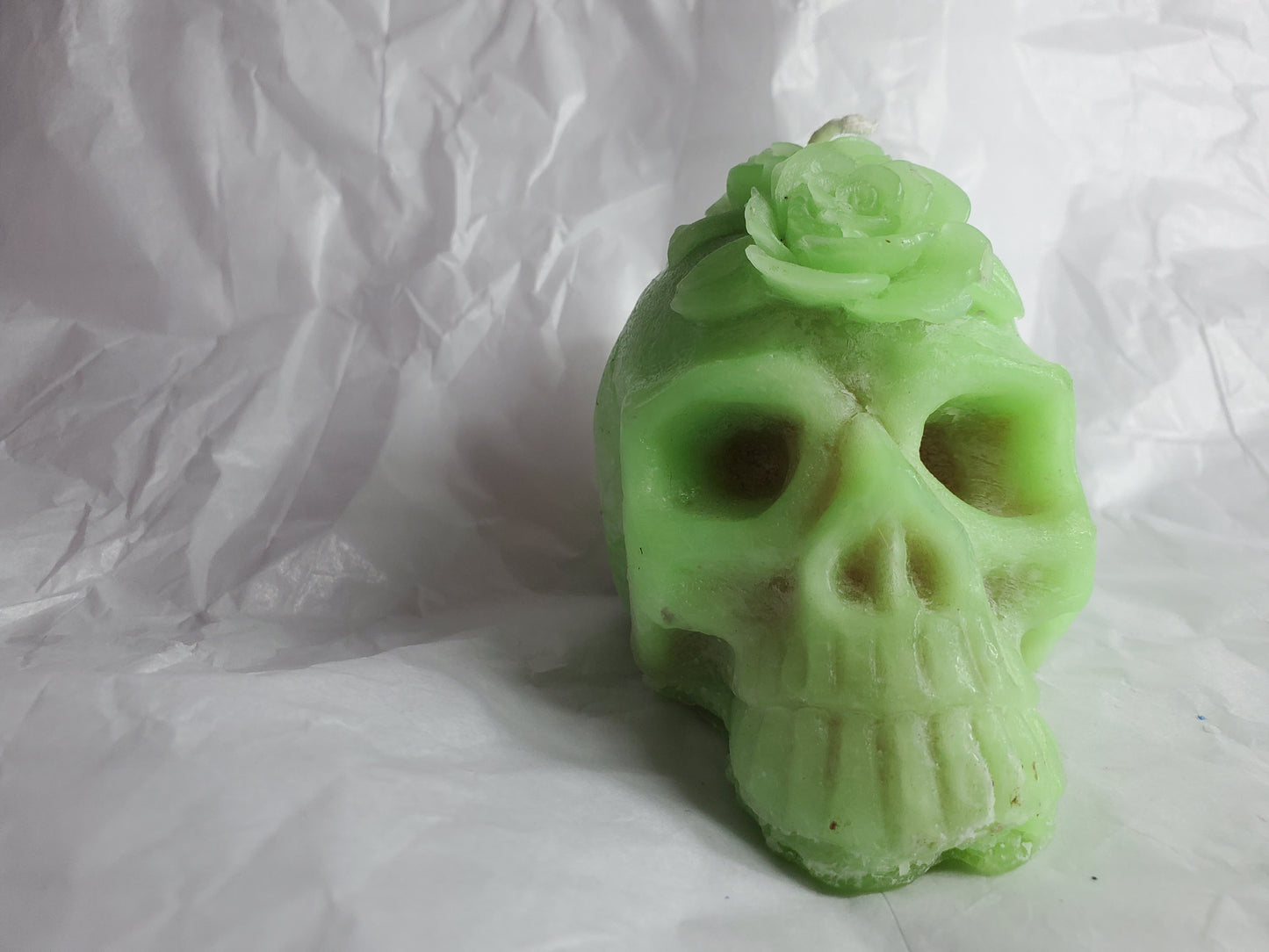 Her Skull (Melon Ball)