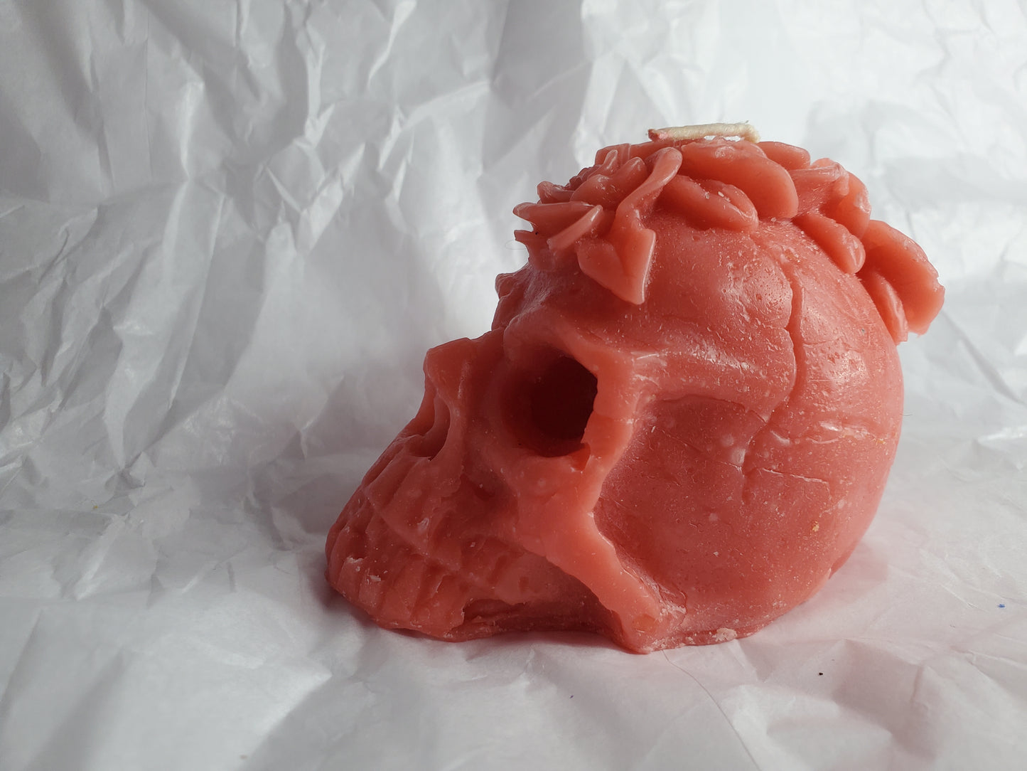 Her Skull (Fun Fair)