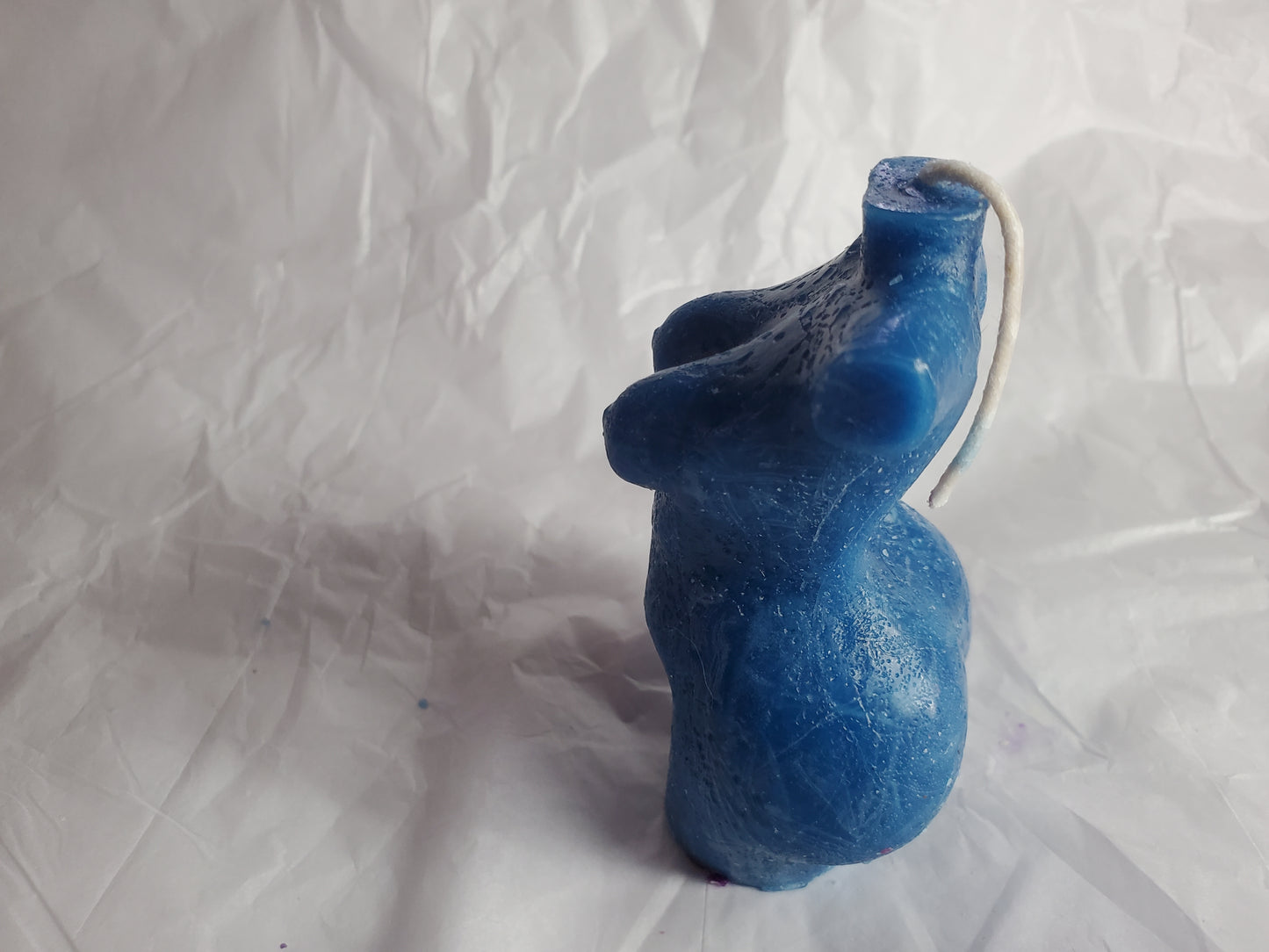Every Body is Beautiful (Blueberry)