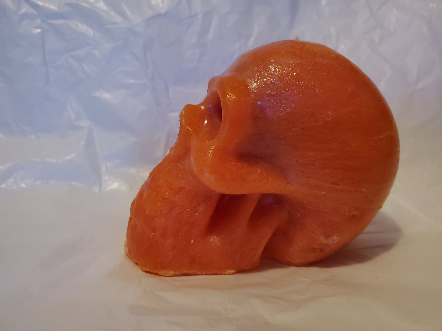 Male Skull