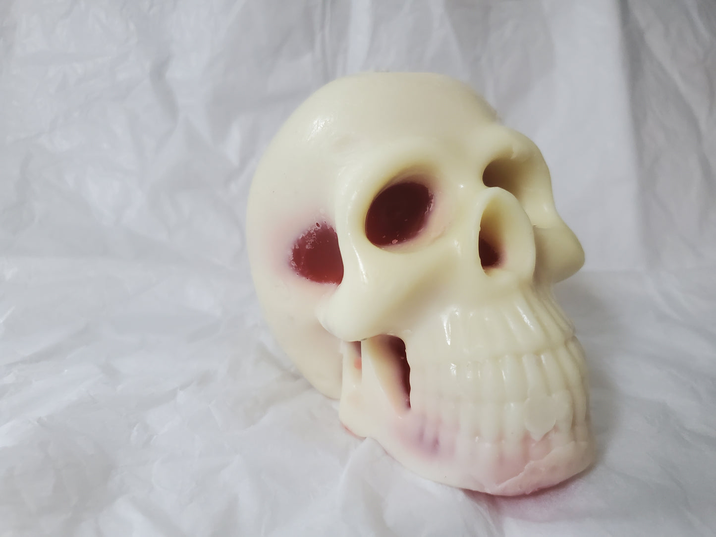 Male Skull (Churro / paraffin)