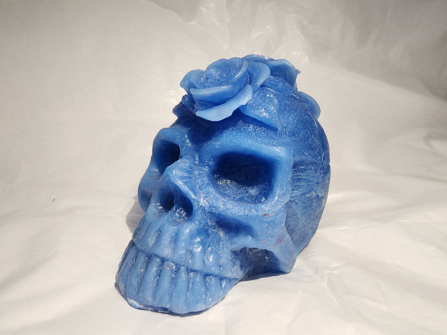 Her Skull (Cupcake / paraffin)
