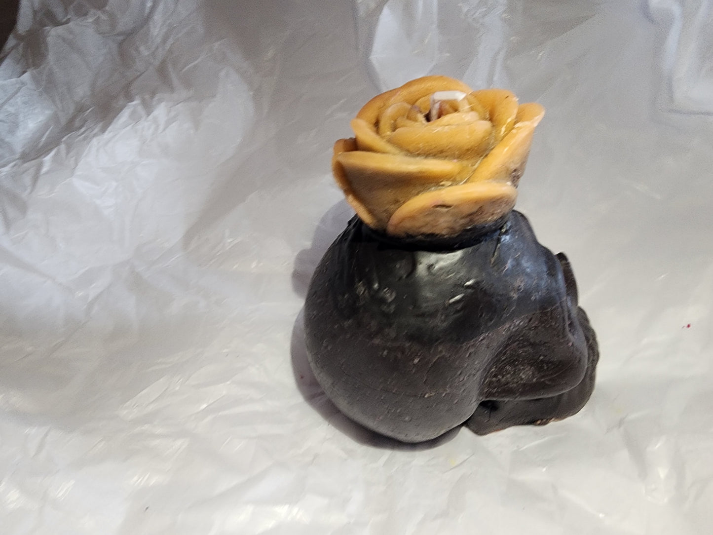 Male Skull (Custom)