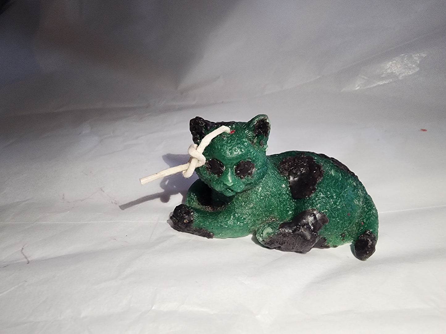 Familiar Kitty