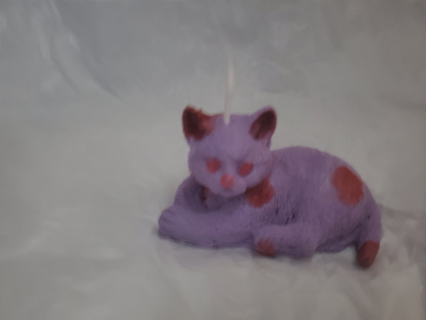 Cat Familiar