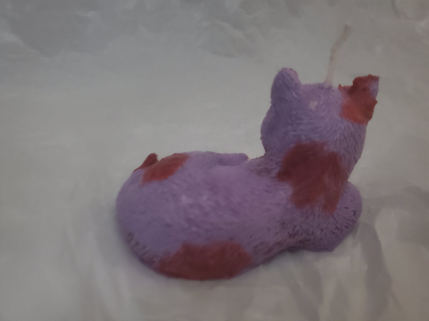 Cat Familiar