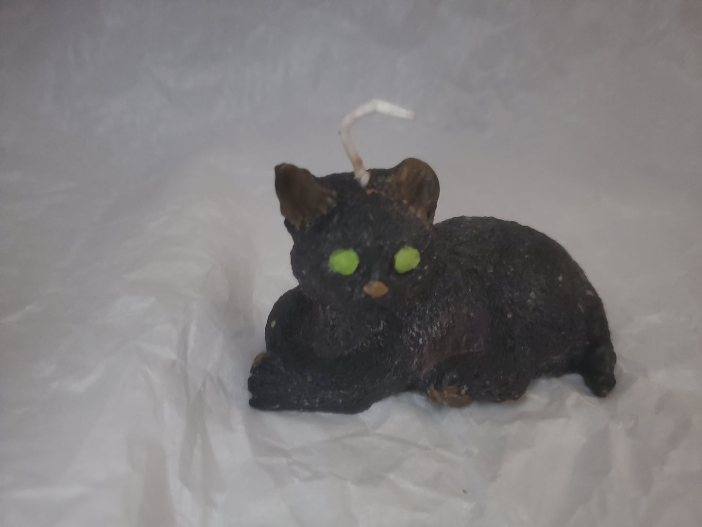 Cat Familiar