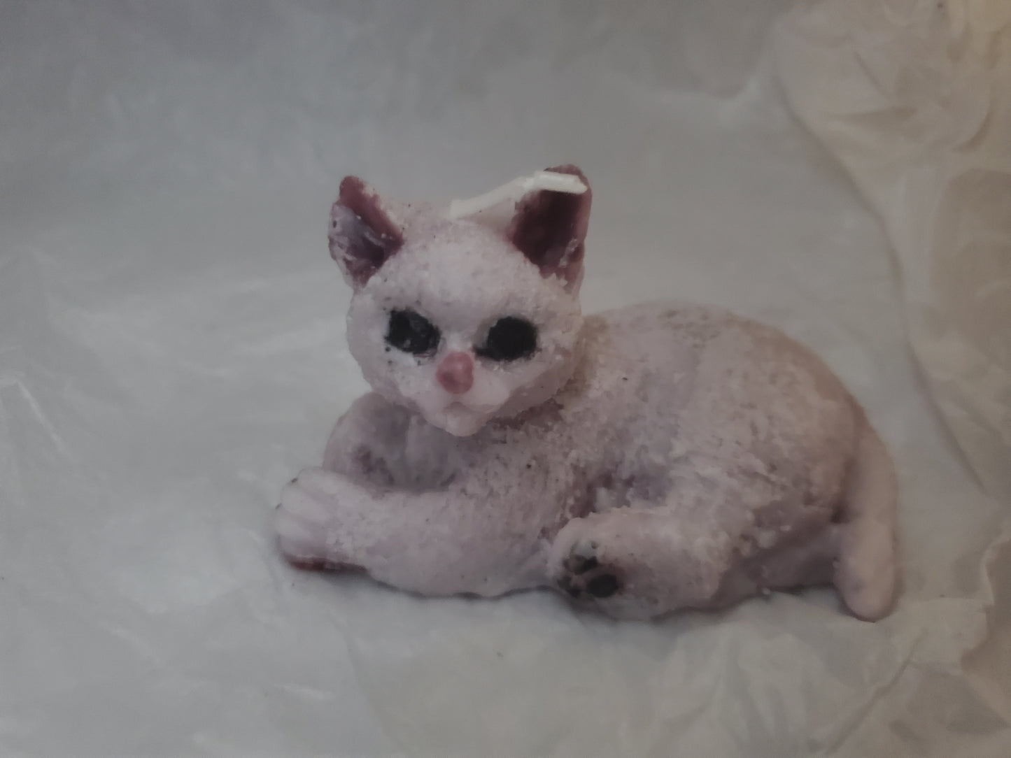 Cat Familiar