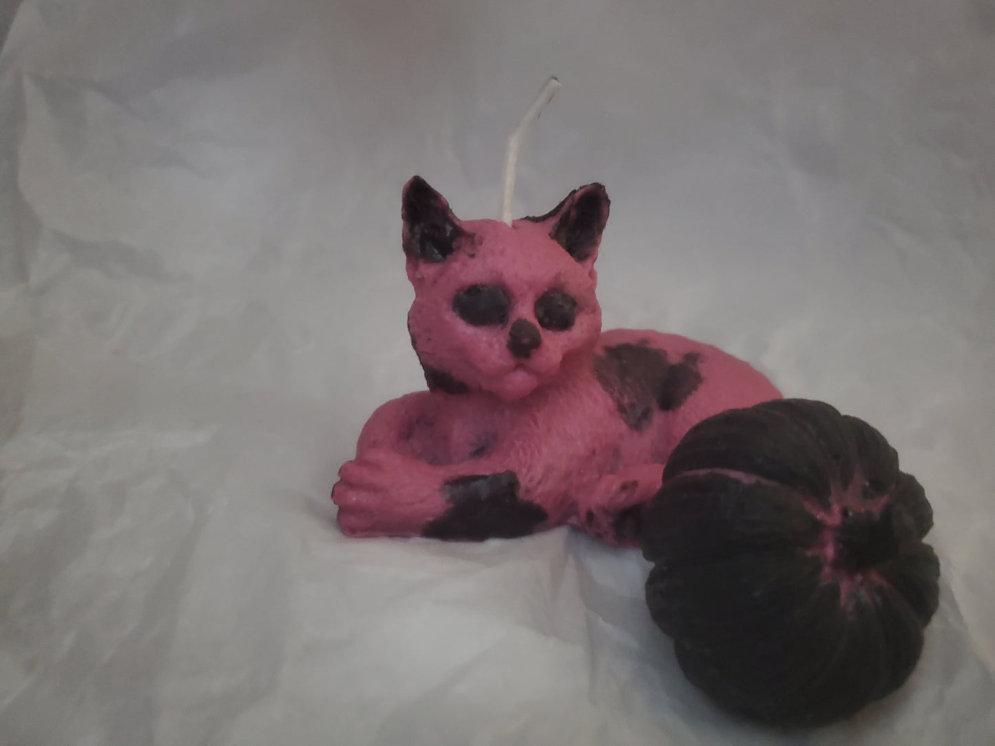 Cat Familiar