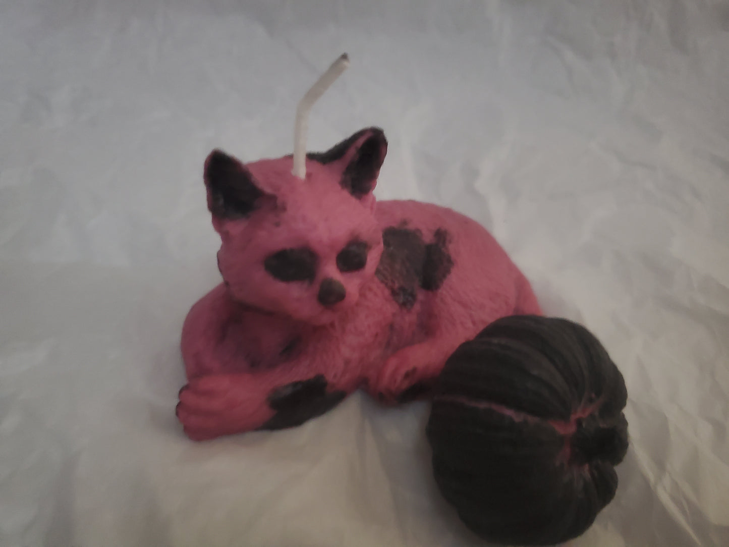 Cat Familiar