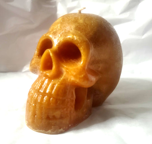 Male Skull (Cinnabon)