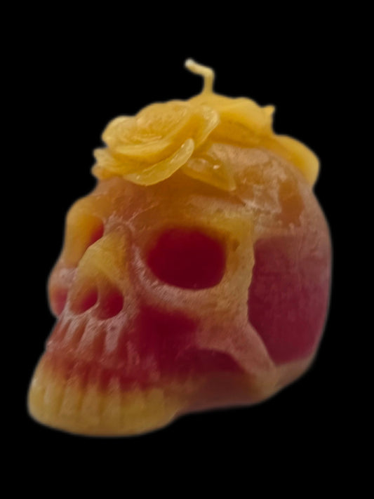 Her Skull