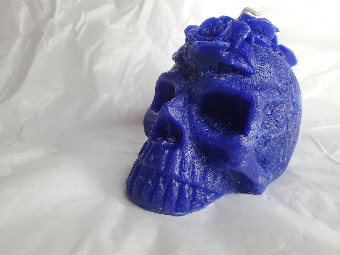 Her Skull (Blueberry)