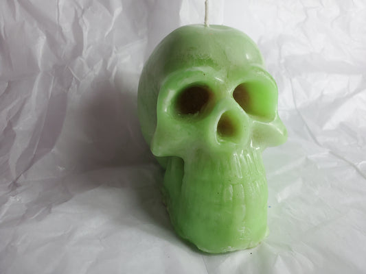 Male Skull (Melon Ball)