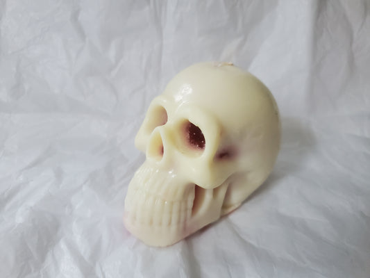Male Skull (Churro / paraffin)