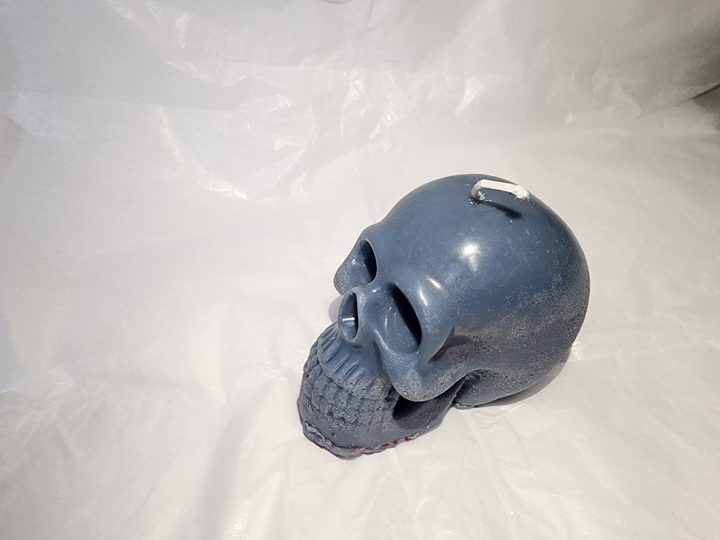Male Skull (Blueberry Burst / paraffin)