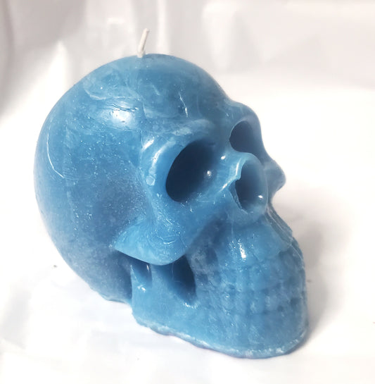 Male Skull